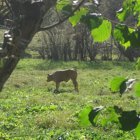 La Del Auteiro منزل ريفي