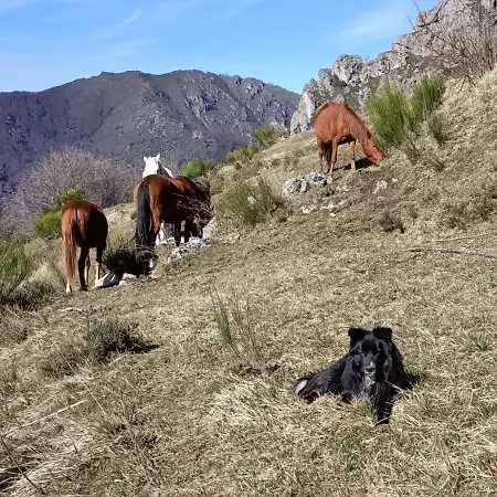 La Del Auteiro * Valle de Lago